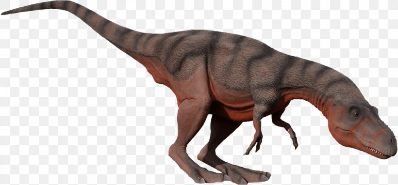Tyrannosaurus Albertosaurus Moab Giants Dinosaur, PNG, 1040x485px, Tyrannosaurus, Albertosaurus, Animal Figure, Celebrity, Com Download Free