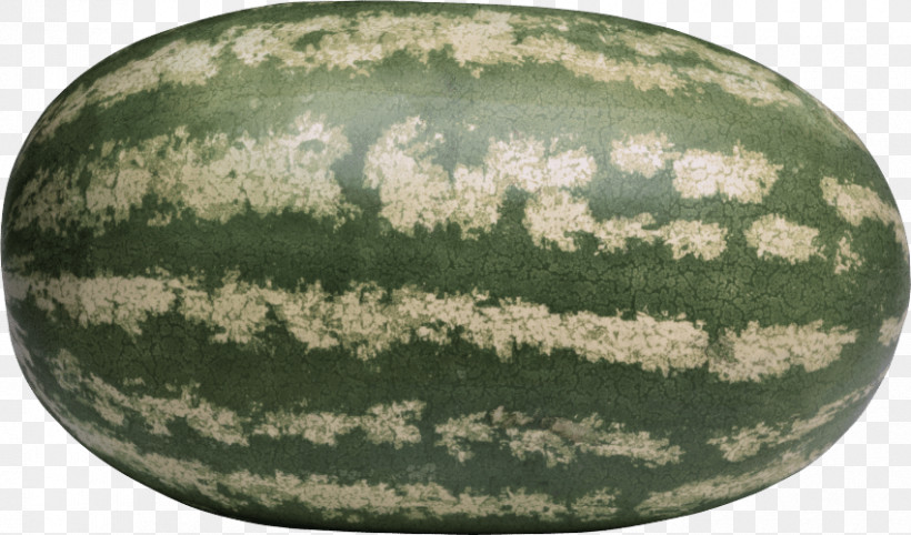 Watermelon, PNG, 850x500px, Watermelon, Berry, Cantaloupe, Cucumber, Cucurbita Maxima Download Free