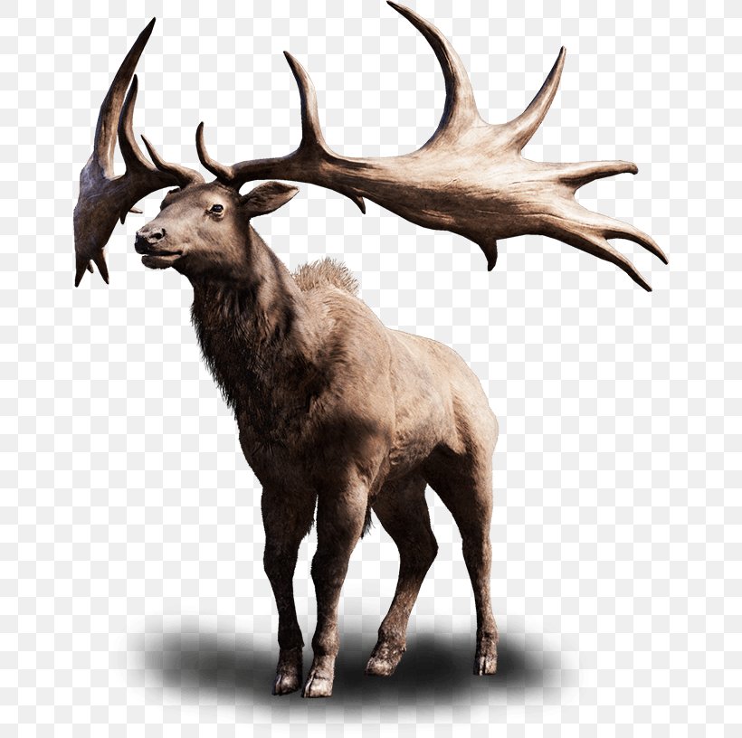 Far Cry Primal Irish Elk Far Cry 4 PlayStation 4, PNG, 658x816px, Far Cry Primal, Antler, Cattle Like Mammal, Deer, Elk Download Free