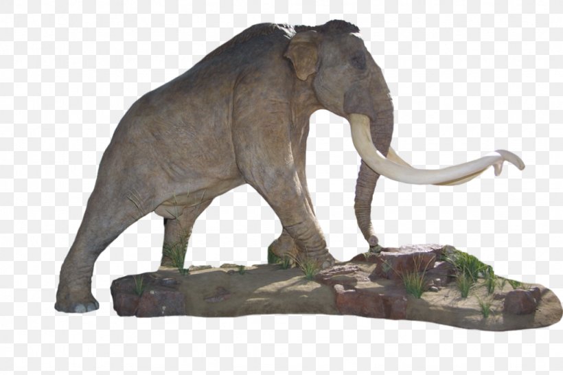 Indian Elephant African Elephant Mammoth Lakes Tusk Sculpture, PNG, 1024x683px, Indian Elephant, African Elephant, Animal, Animal Figure, Curtiss C46 Commando Download Free
