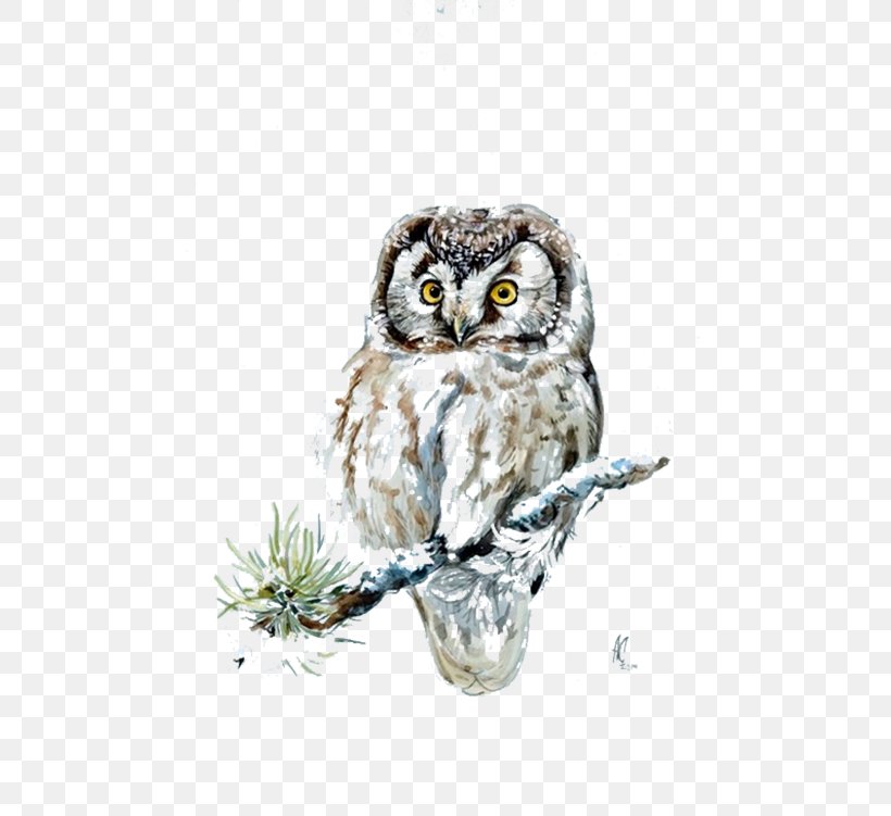 Owl 54 Cards Snow Download, PNG, 500x751px, 54 Cards, Owl, Beak, Bird, Bird Of Prey Download Free
