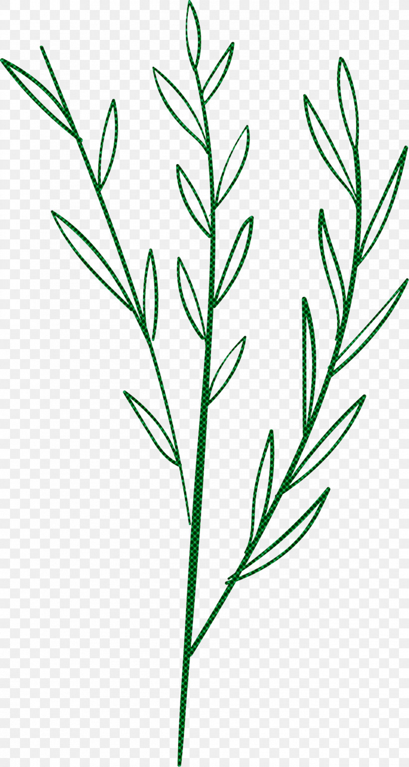 Simple Leaf Simple Leaf Drawing Simple Leaf Outline, PNG, 1291x2422px, Simple Leaf, Branch, Bud, Drawing, Grasses Download Free