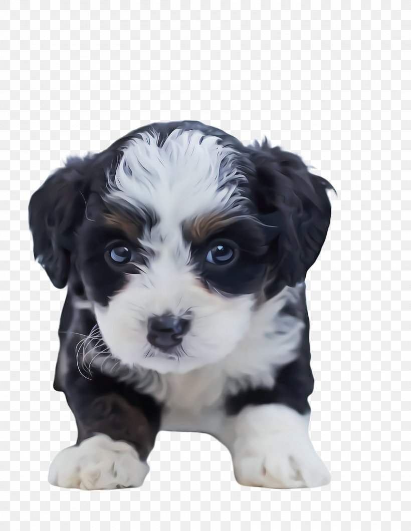 Cute Cartoon, PNG, 1760x2276px, Cute Dog, Animal, Beagle, Bernedoodle, Bernese Mountain Dog Download Free