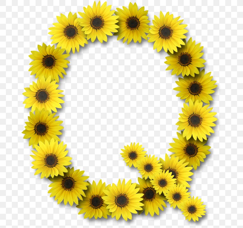 Letter Case Alphabet Clip Art Common Sunflower, PNG, 678x768px, Letter, Alphabet, Common Sunflower, Daisy Family, Flower Download Free