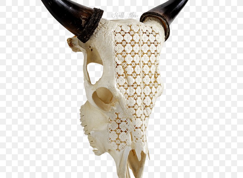 Skull Flower Garden Bone Horn, PNG, 600x600px, Skull, American Bison, Bison, Bone, Cattle Download Free