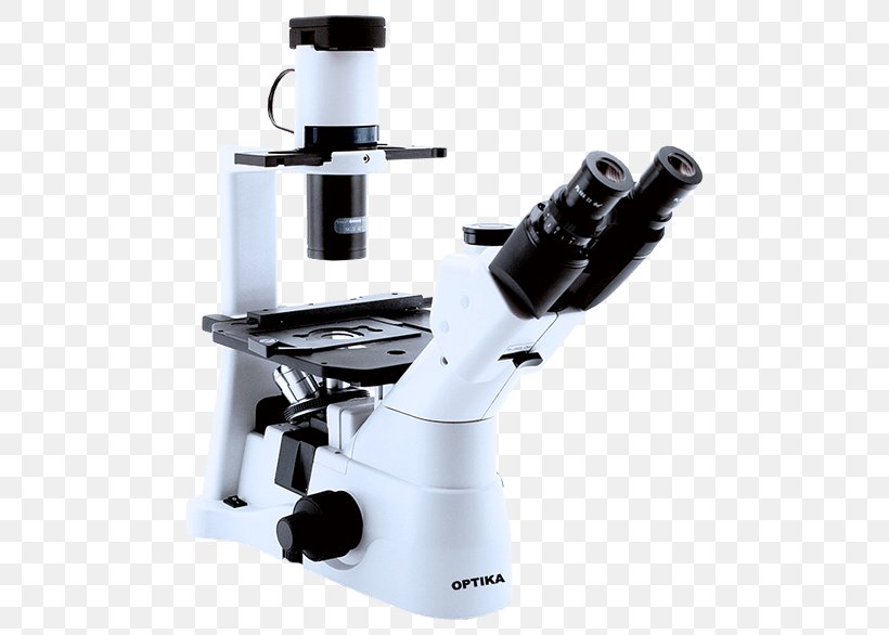 Inverted Microscope Light Optics Fluorescence Microscope, PNG, 600x586px, Microscope, Anatomy, Biology, Darkfield Microscopy, Fluorescence Download Free