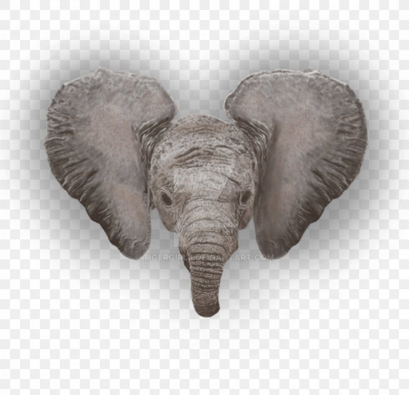 African Elephant Indian Elephant Terrestrial Animal, PNG, 909x879px, African Elephant, Animal, Asian Elephant, Elephant, Elephants And Mammoths Download Free