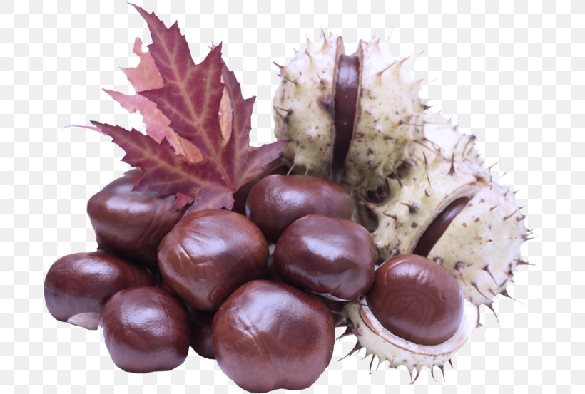 Chocolate, PNG, 700x553px, Chestnut, Chocolate, Confectionery, Food, Hazelnut Download Free