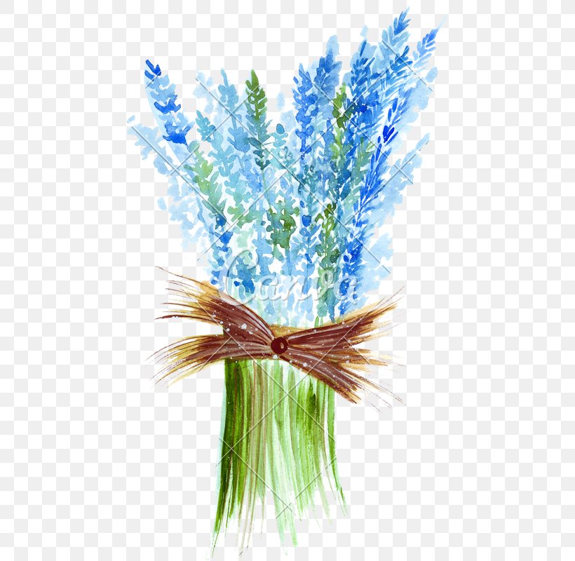 Drawing Lavender Illustration Watercolor Painting Image, PNG, 476x800px, Drawing, Art, Flower Bouquet, Grass, Grass Family Download Free