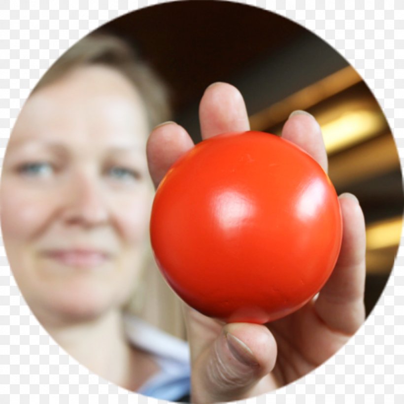Tomato H&M Personal Trainer Learning Labor, PNG, 1024x1024px, Tomato, Hand, Labor, Learning, Personal Trainer Download Free