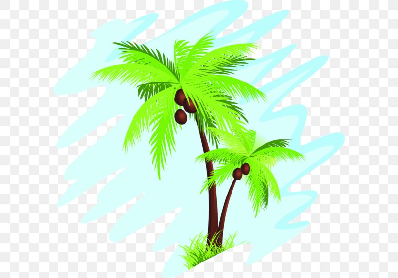 Arecaceae Coconut Tree Clip Art, PNG, 600x573px, Arecaceae, Arecales, Asian Palmyra Palm, Branch, Coconut Download Free