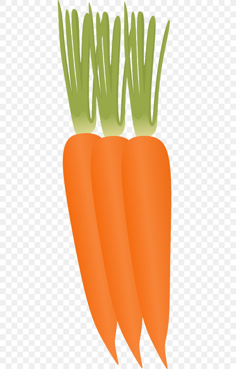 Baby Carrot Vegetable Food, PNG, 545x1280px, Baby Carrot, Carrot, Food, Fruit, Grass Download Free