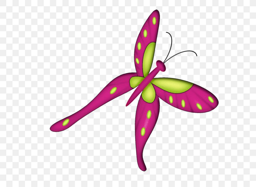 Butterfly Insect Bichitos/ Bugs Clip Art, PNG, 600x600px, Butterfly, Blog, Couponcode, Dragonfly, Fault Download Free