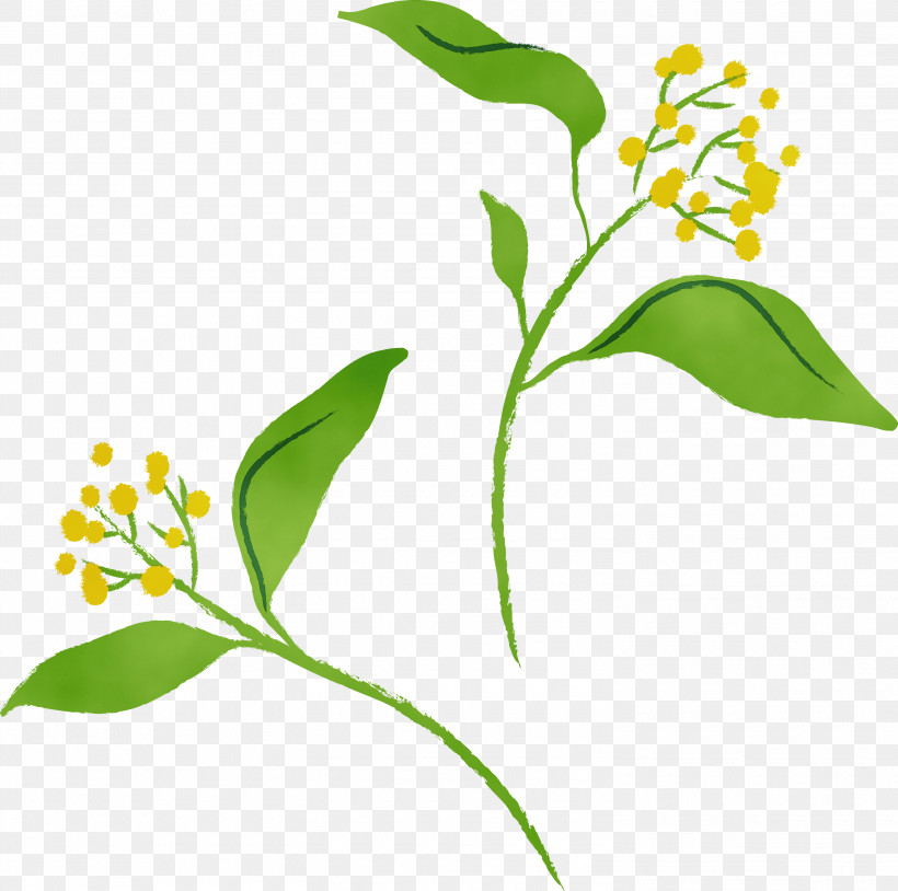 Flower Plant Plant Stem Pedicel, PNG, 3000x2979px, Watercolor, Flower, Paint, Pedicel, Plant Download Free