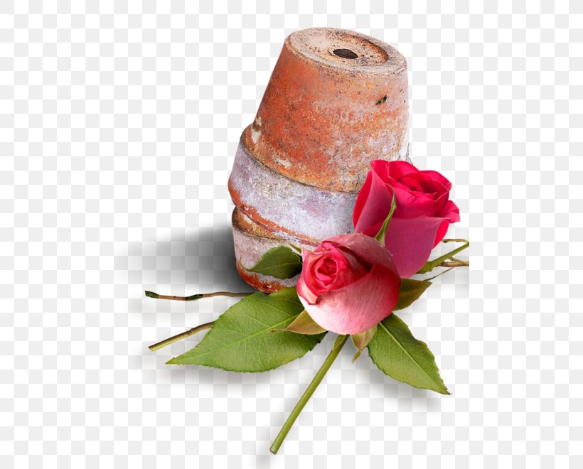 Flowerpot Garden Roses, PNG, 500x660px, Flower, Bonsai, Bud, Cut Flowers, Flowerpot Download Free
