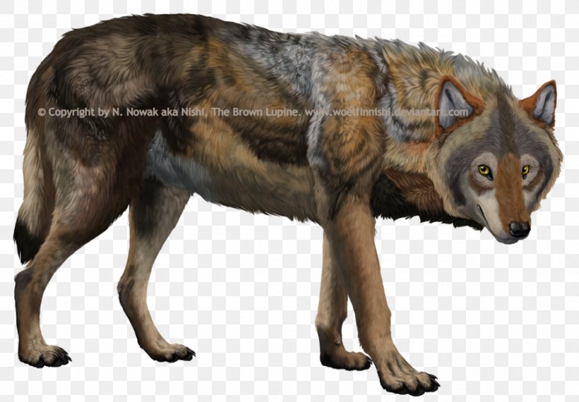 Kunming Wolfdog Coyote Canidae Art, PNG, 900x626px, Kunming Wolfdog, Animal, Art, Canidae, Carnivora Download Free
