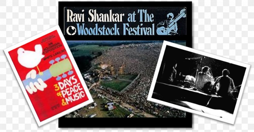 Woodstock Banner Brand Display Advertising, PNG, 972x507px, Woodstock, Advertising, Banner, Brand, Display Advertising Download Free