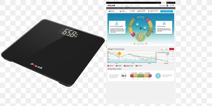Measuring Scales Polar Electro Balans Watch Electronics, PNG, 1200x600px, Measuring Scales, Balans, Bluetooth Low Energy, Brand, Computer Download Free