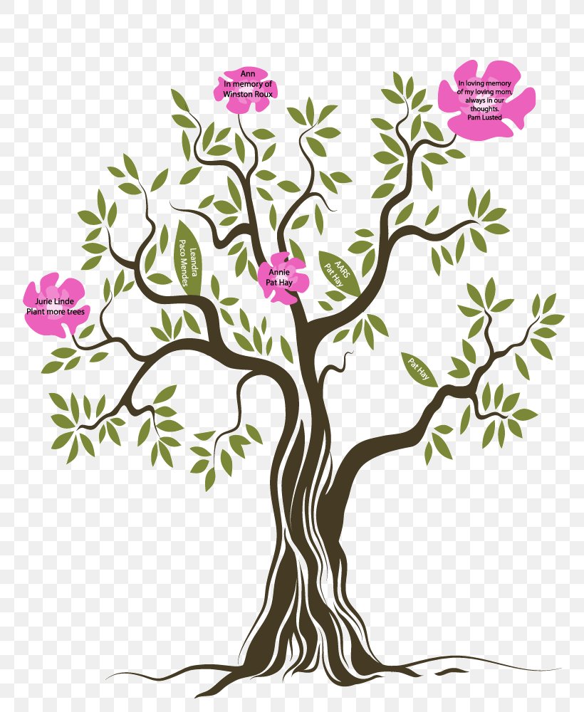 Tree Shrub Floral Design, PNG, 780x1000px, Tree, Artwork, Branch, Cut Flowers, Drawing Download Free