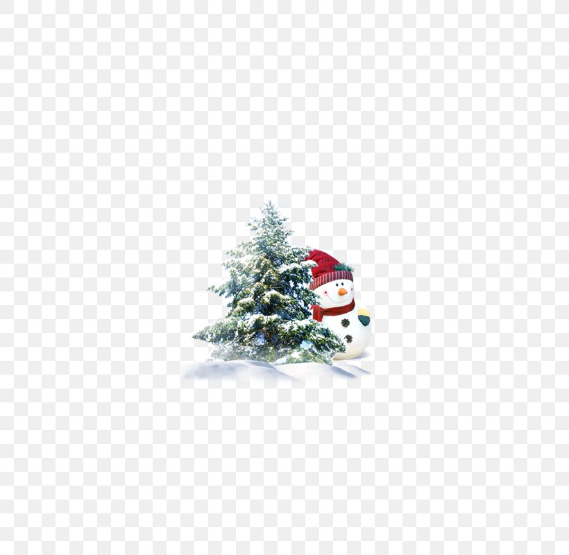 Christmas Tree Dongzhi Pine, PNG, 800x800px, Christmas Tree, Christmas, Christmas Decoration, Christmas Ornament, Computer Software Download Free