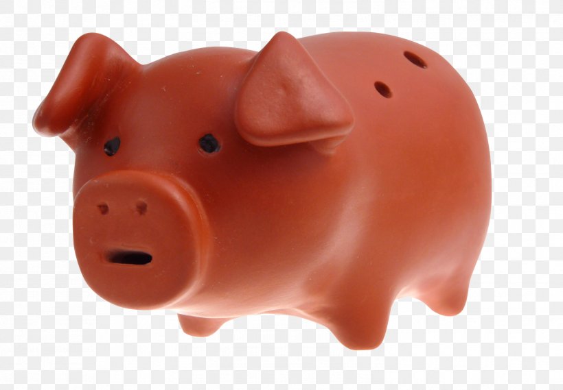 Snout Piggy Bank, PNG, 1499x1041px, Snout, Bank, Mammal, Nose, Orange Download Free