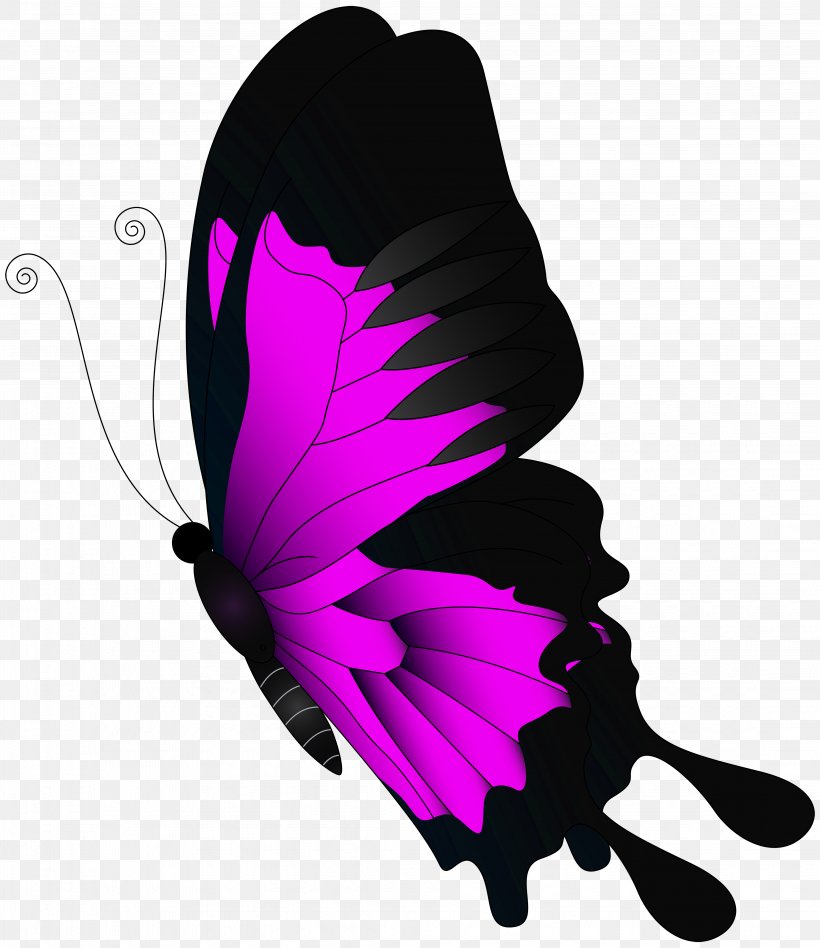 Butterfly Clip Art, PNG, 4323x5000px, Butterfly, Butterflies And Moths, Color, Digital Image, Feather Download Free
