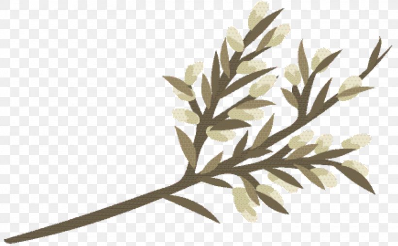 Grass Cartoon, PNG, 1448x898px, Twig, Branch, Flower, Grass, Leaf Download Free