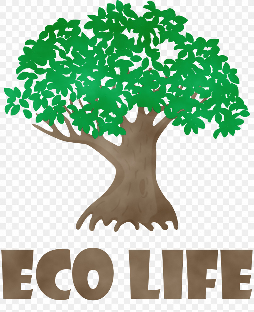 Leaf Tree Green Meter Flowerpot, PNG, 2443x3000px, Tree, Behavior, Biology, Branching, Eco Download Free