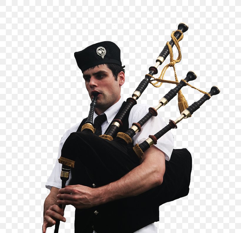 Uilleann Pipes Cornamuse Profession Bagpipes, PNG, 690x794px, Uilleann Pipes, Bagpipes, Cornamuse, Musical Instrument, Profession Download Free
