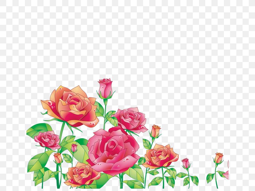 Centifolia Roses Photography, PNG, 650x616px, Centifolia Roses, Artificial Flower, Cut Flowers, Drawing, Floral Design Download Free