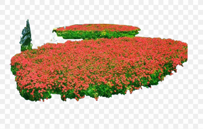 Download Flower Plant Computer File, PNG, 1772x1128px, Flower, Annual Plant, Bed, Chrysanths, Division Download Free