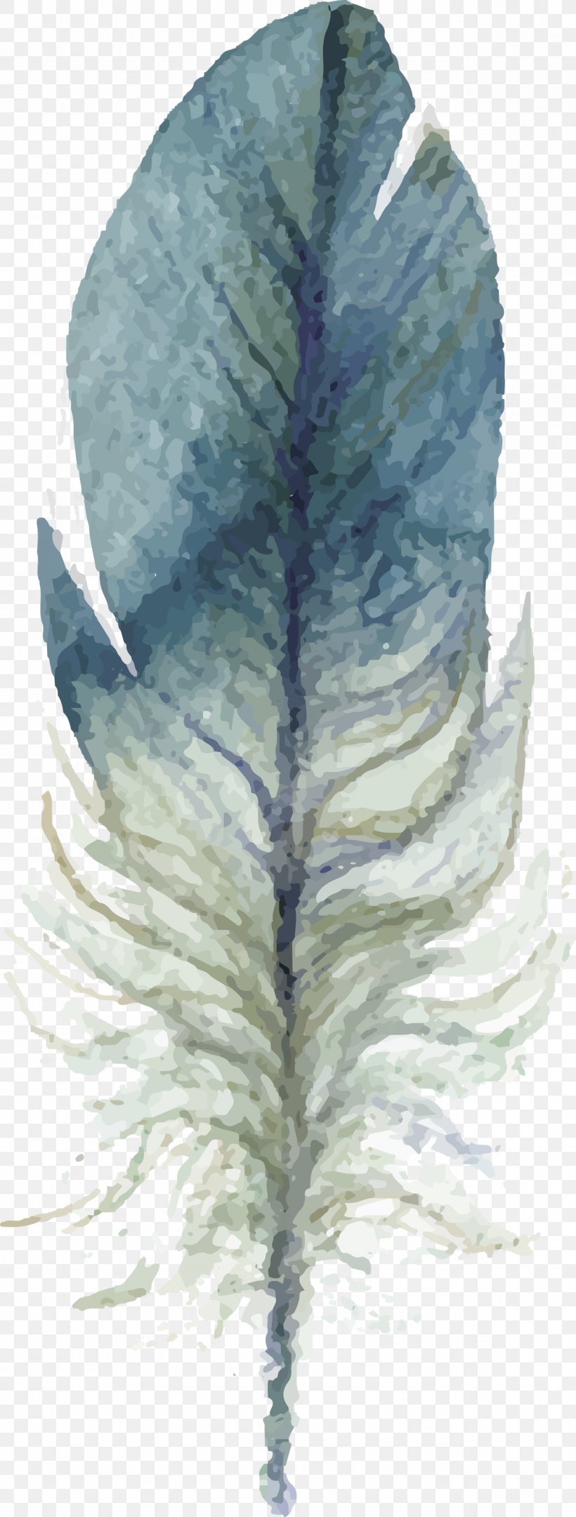 Feather Euclidean Vector Watercolor Painting Pens Clip Art, PNG, 1282x3377px, Feather, Art, Bird, Drawing, Gratis Download Free