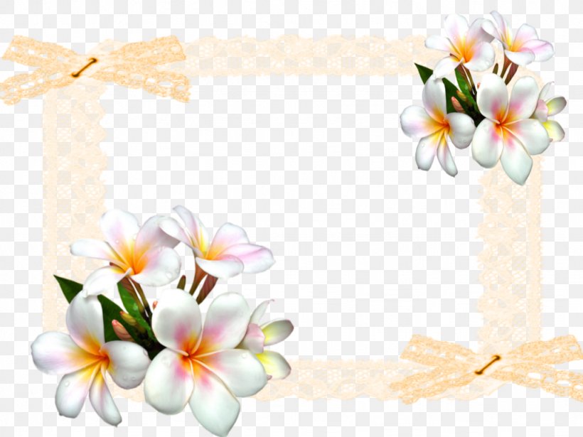 Flower Floral Design White Clip Art, PNG, 1024x768px, Flower, Blossom, Common Daisy, Computer, Cut Flowers Download Free