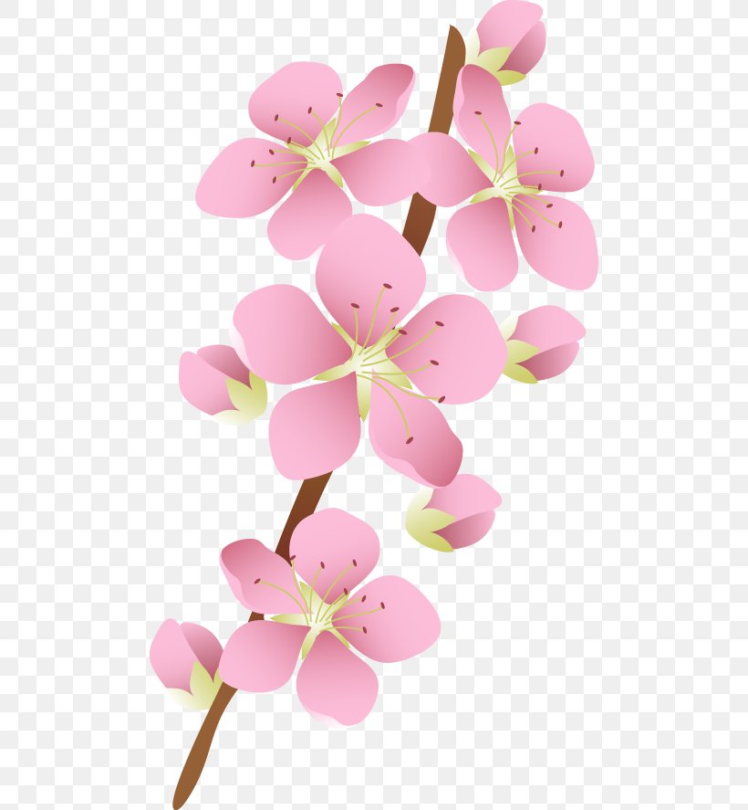 Flower Image JPEG Blossom, PNG, 492x887px, Flower, Blossom, Cherry Blossom, Cut Flowers, Floral Design Download Free
