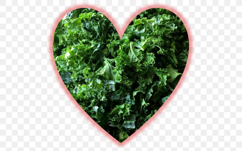 Kale Meal The HON Company Blog Heart, PNG, 512x512px, Kale, Blog, Heart, Hon Company, Huns Download Free