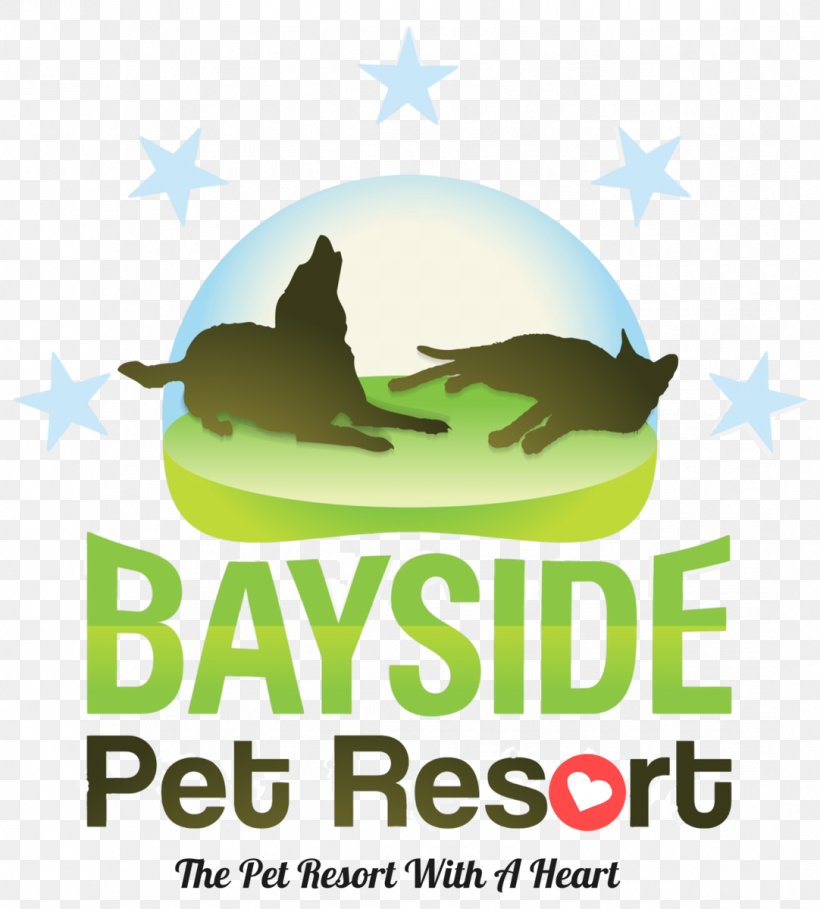 Sarasota Bayside Pet Resort Dog Pet Sitting Cat, PNG, 1082x1200px, 5 Star, Sarasota, Accommodation, Amenity, Brand Download Free