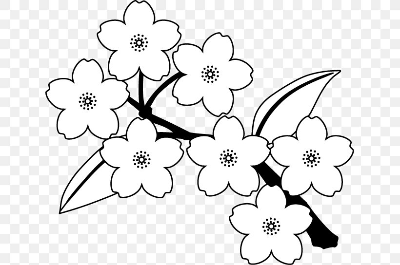 Borders Clip Art Floral Design Illustration Cherry Blossom, PNG, 633x544px, Borders Clip Art, Area, Art, Black, Black And White Download Free