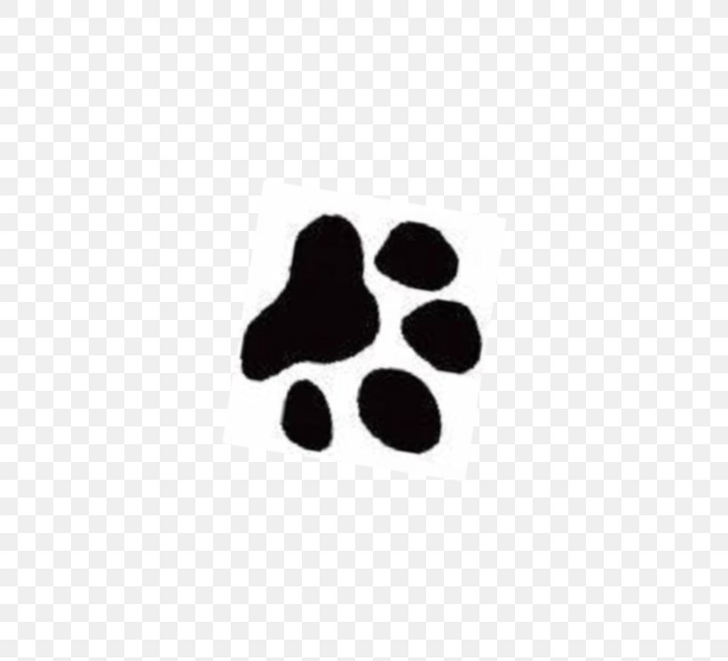 Yorkshire Terrier Cat Cougar Paw Clip Art, PNG, 744x744px, Yorkshire Terrier, Black, Cat, Cougar, Dog Download Free