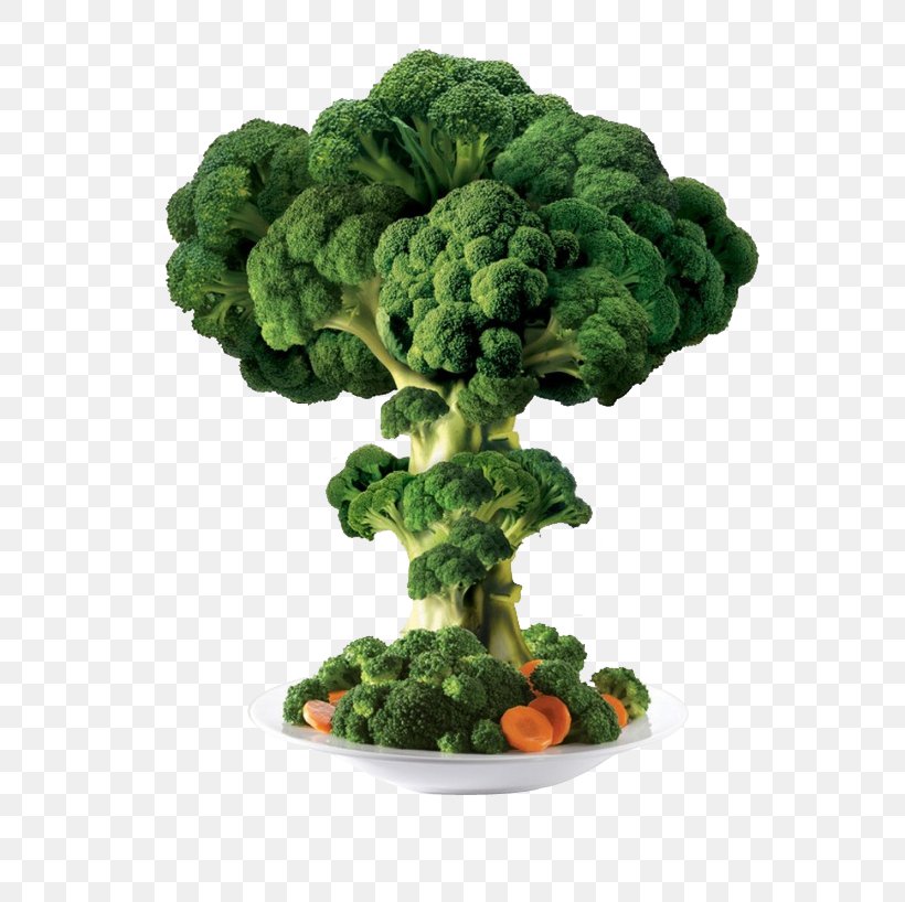Broccoli Vegetable, PNG, 658x818px, Broccoli, Flowerpot, Food, Grass, Gratis Download Free
