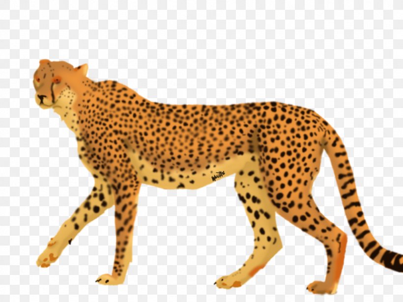 Cheetah Leopard Big Cat Terrestrial Animal, PNG, 1024x768px, Cheetah, Animal, Animal Figure, Big Cat, Big Cats Download Free