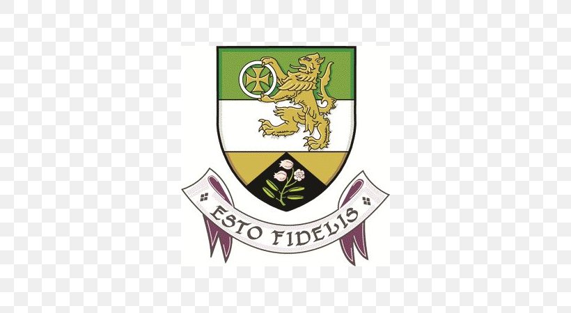 Tullamore Evans Cleaning Services Offaly County Council Midlands 103 Offaly GAA, PNG, 600x450px, Tullamore, Badge, Brand, Coat Of Arms, County Offaly Download Free