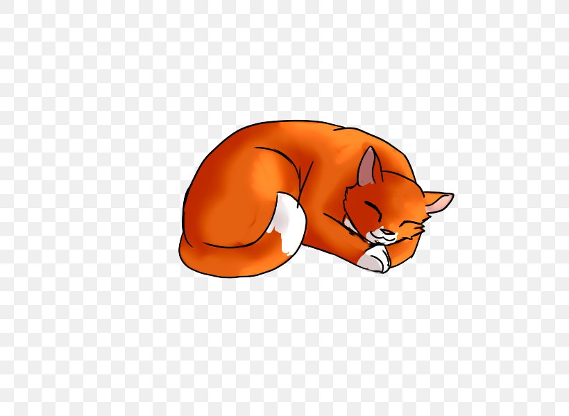 Whiskers Cat Fox Dog Clip Art, PNG, 800x600px, Whiskers, Canidae, Carnivoran, Cartoon, Cat Download Free