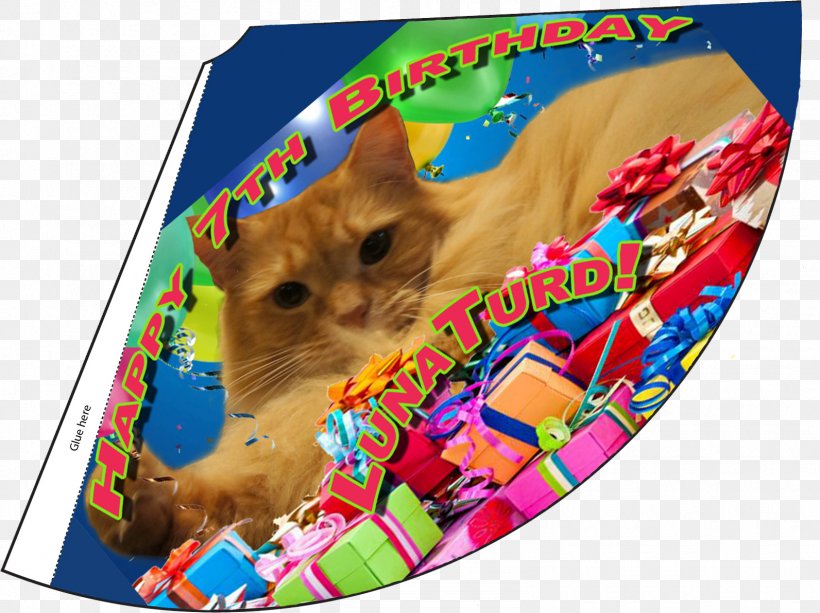 Birthday Party Hat Cat Whiskers, PNG, 1592x1192px, Birthday, Cat, Com, Hat, Party Download Free