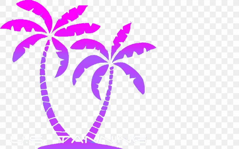 Clip Art Drawing Palm Trees Illustration Image, PNG, 1460x912px, Drawing, Arecales, Art, Botany, Leaf Download Free