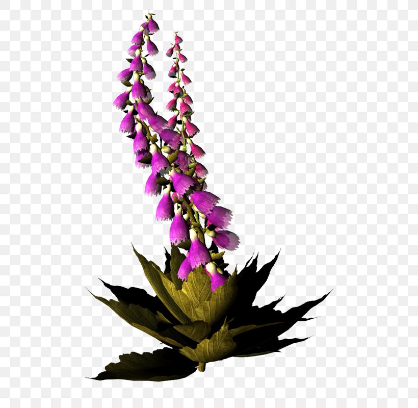 Floral Design Cut Flowers Blume, PNG, 561x800px, Floral Design, Blume, Cut Flowers, Flora, Floristry Download Free