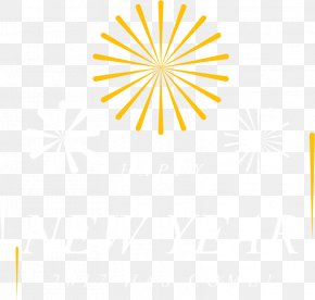 Background Fireworks New Year Card - Lamella Electric Field Electric Charge Mycology PNG