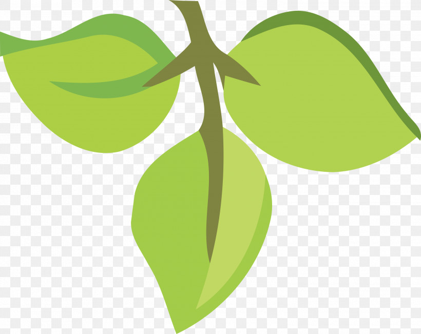 Leaf Plant Stem Green Flora Text, PNG, 3000x2384px, Leaf, Biology, Flora, Fruit, Green Download Free