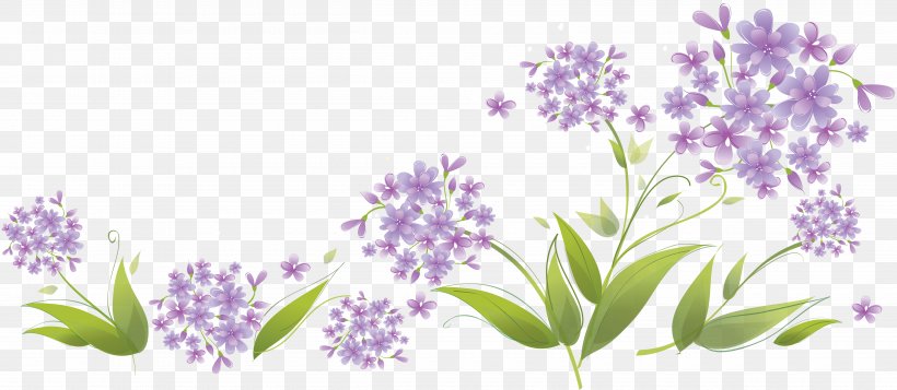 Royalty-free Photography Clip Art, PNG, 5000x2182px, Royaltyfree, Branch, Drawing, English Lavender, Flora Download Free