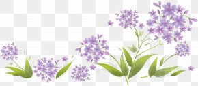 Hydrangea - Royalty-free Photography Clip Art PNG