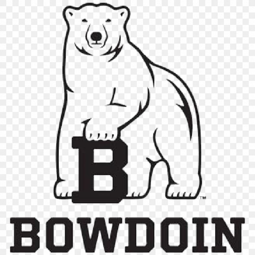 Bowdoin College Bowdoin Polar Bears Football Bowdoin Polar Bears Women's Basketball, PNG, 833x833px, Bowdoin College, Area, Artwork, Bear, Black And White Download Free